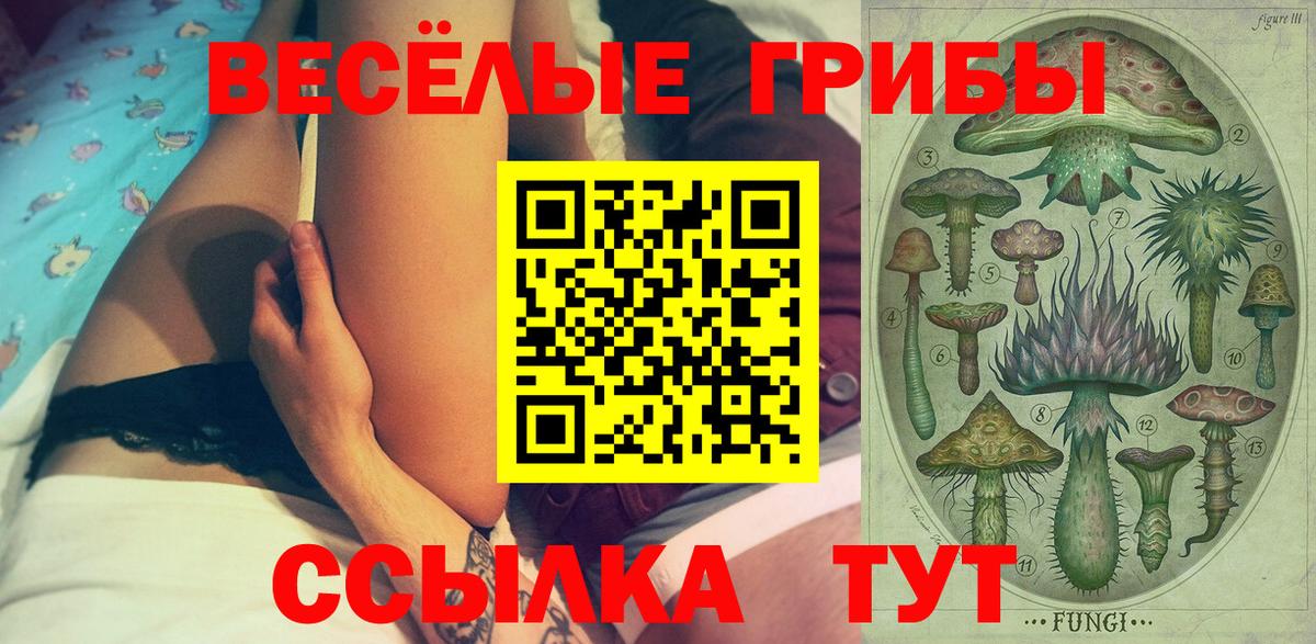 купить наркотик  Вход с VPN  Холмск  Псилоцибиновые грибы ЛСД  Галлюциногенные грибы мухоморы 