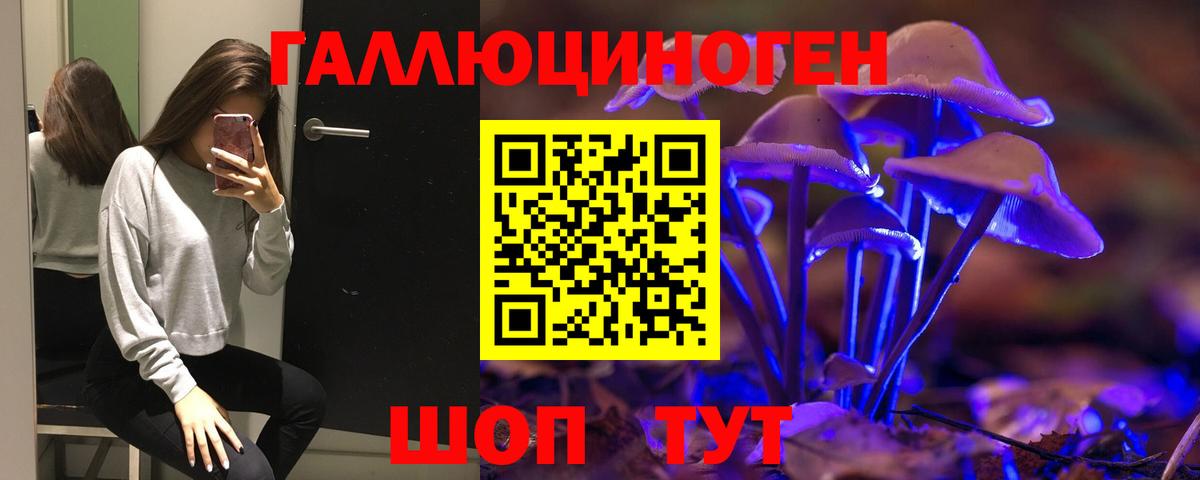 Галлюциногенные грибы мухоморы Холмск